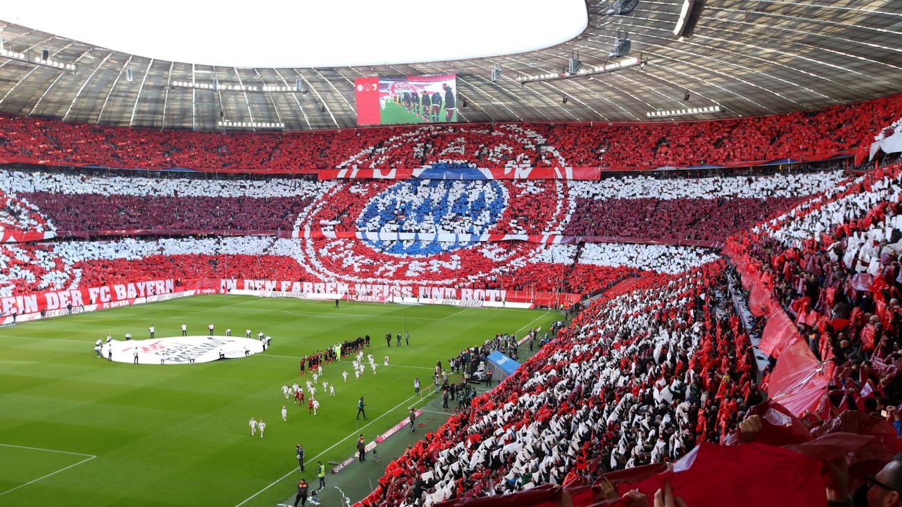 Dfl Proposes Bundesliga Suspension