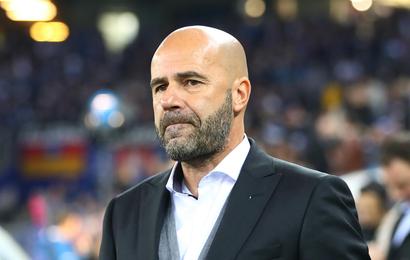 Peter Bosz Bein Sports