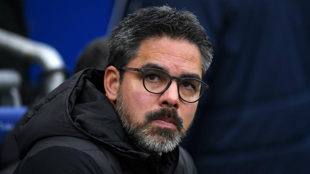 Schalke announce David Wagner as new head coach from 2019-20