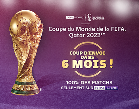 Coupe du Monde au Qatar 2022