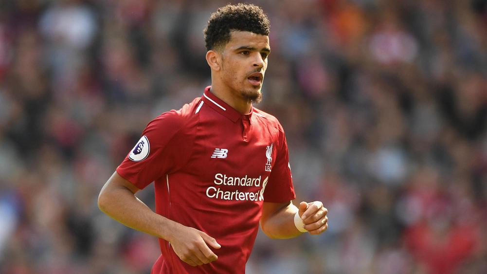 dominic solanke - cropped