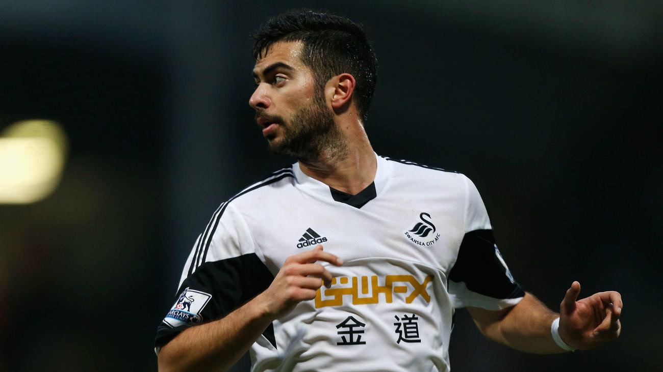 Swansea Agree Amat Extension